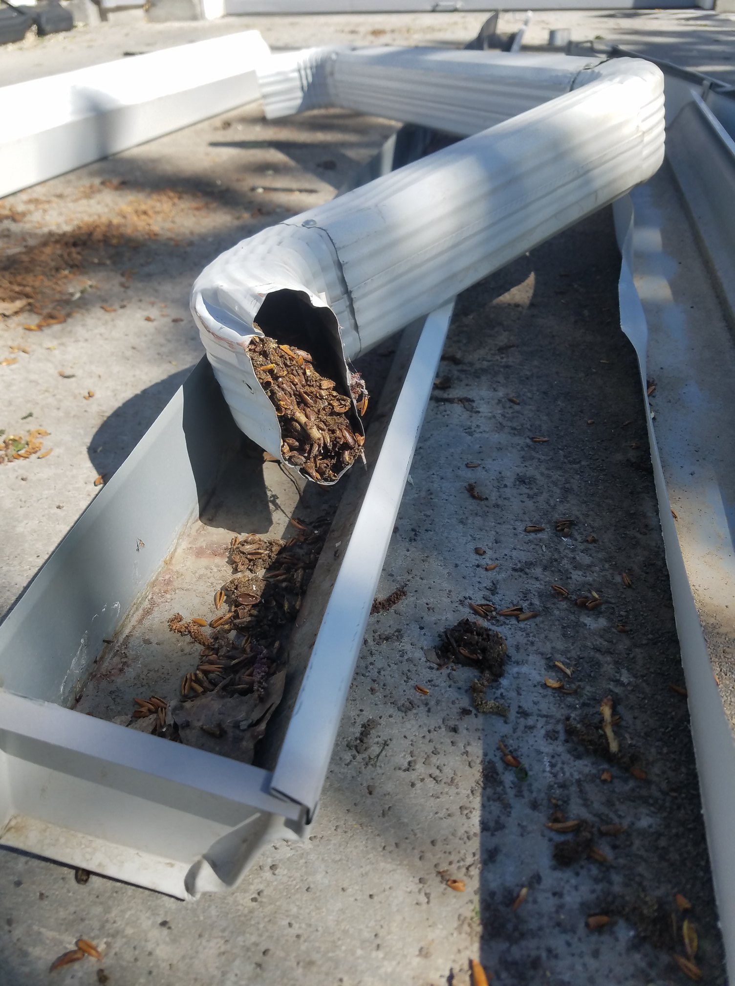 gutter cleaning Meridian ID